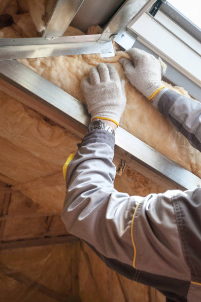 Best Residential Insulation Services  in Bear Valley Springs, CA