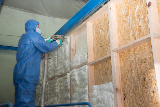 Best Crawl Space Insulation  in Bear Valley Springs, CA